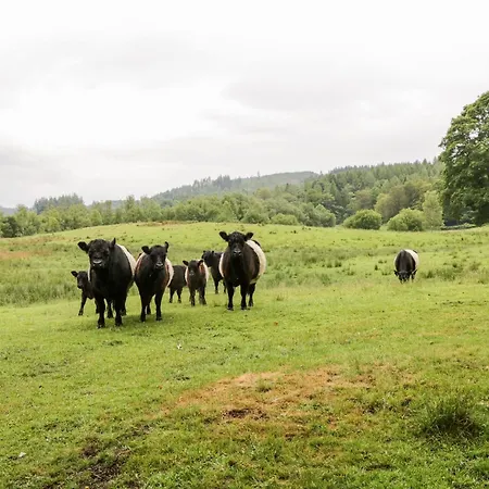 Crummock Apartament Near Sawrey
