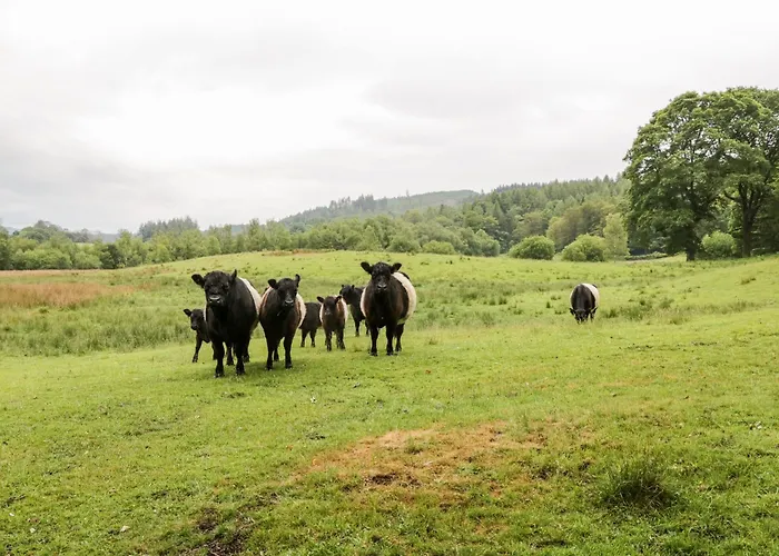 Crummock Apartament Near Sawrey